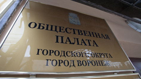 Городские власти определили 7 кандидатов в Общественную палату Воронежа