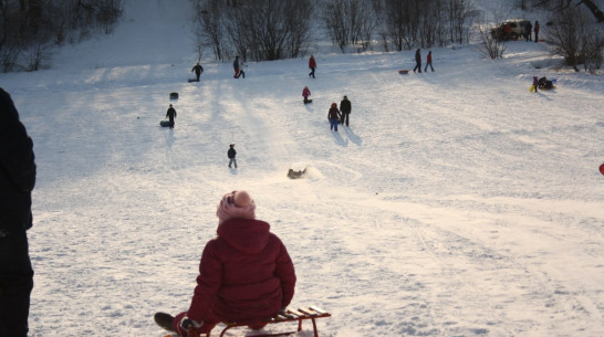 Аномальное для февраля тепло сохранится в Воронеже 