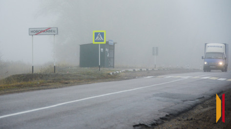 В Воронежской области спрогнозировали грозы и туман в ночь на 13 мая