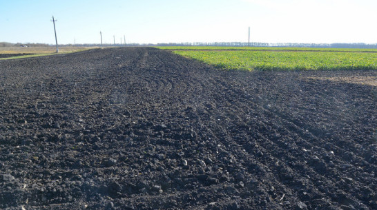 Органическим земледелием в Воронежской области займутся 12 предприятий