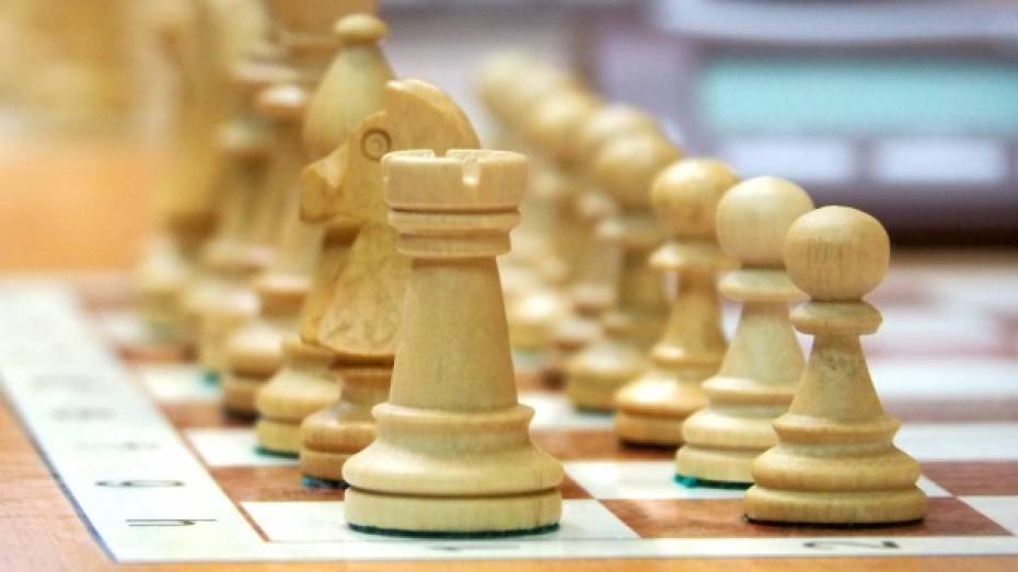 Воронежцев позвали на обучение игре в русские шахматы