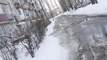 Потепление до +3 градусов ожидает Воронежскую область после 20-градусного мороза