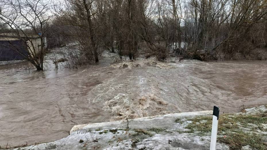 В Воронежской области прокуратура взяла на контроль ситуацию с затоплением домов в Ольховатском районе