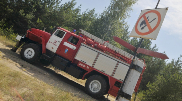Высшая пожароопасность установлена в восьми районах Воронежской области
