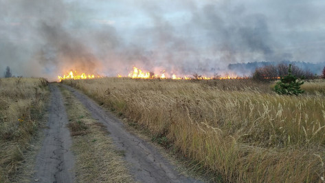 Ландшафтные пожары подобрались к Воронежу