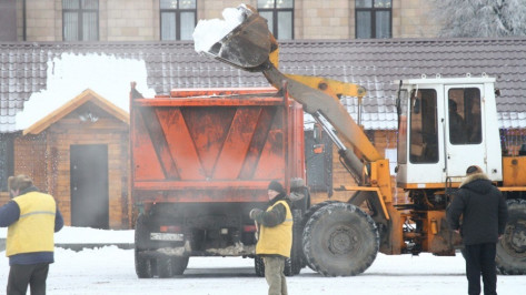 В Воронеже коммунальщики вывезли с улиц 380 самосвалов снега за ночь