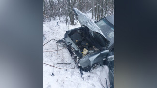 В Воронежской области пьяный водитель «Лады Приоры» вылетел в кювет