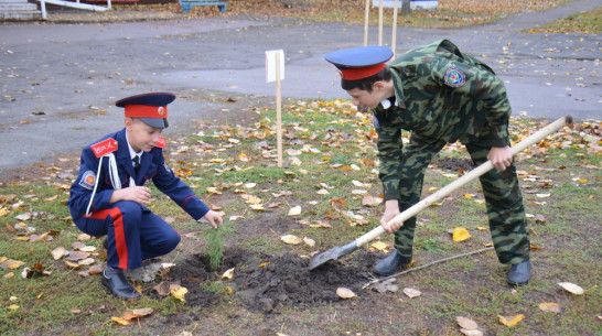 В верхнемамонском селе Гороховка заложили кадетский парк