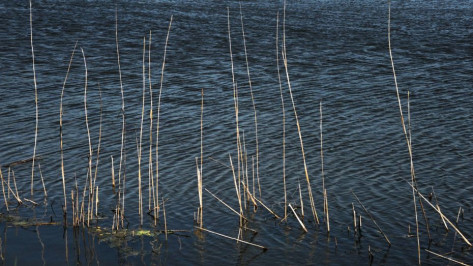 Под Рамонью на реке Воронеж перевернулись двое мужчин на гидроцикле