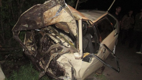 В Лискинском районе «девятка» врезалась в дерево: водитель погиб