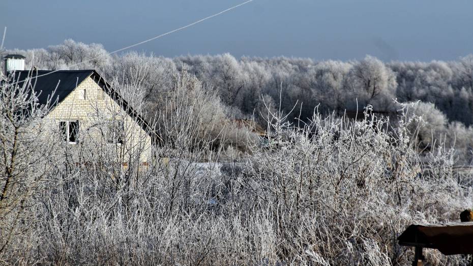 В Воронежской области ожидаются 20-градусные морозы и резкие перепады температуры