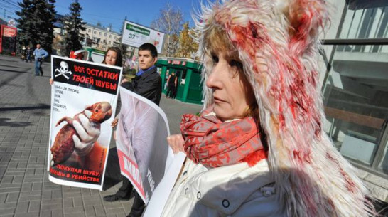 Зоозащитники призвали воронежцев отказаться от меха и кожи