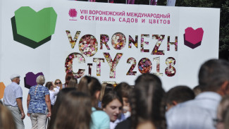 В Воронеже 8-й фестиваль «Город-сад» собрал 280 тыс посетителей