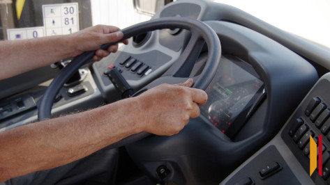 Из Воронежа запустят новый маршрут до Семилук