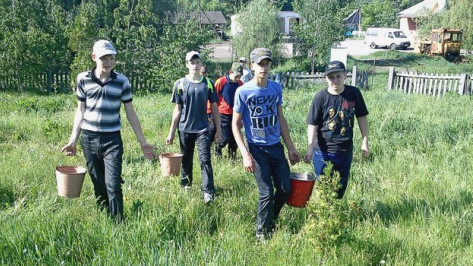 Бутурлиновские лесоводы победили в экологическом конкурсе Гринписа России