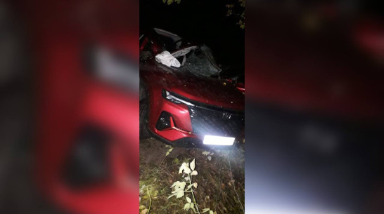 Пара из Воронежа разбилась в ДТП в Россошанском районе