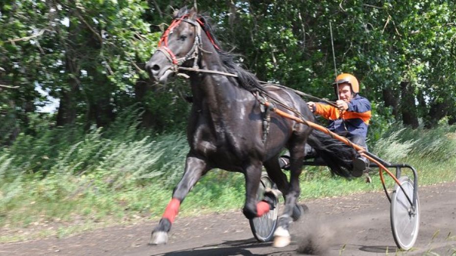 Житель Эртильского района третий год как жокей участвует в лошадиных бегах 