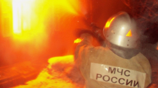 В Воронежской области при пожаре погибли 2 пенсионера