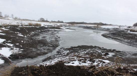 Жители села в Воронежской области восстановили обмелевший пруд