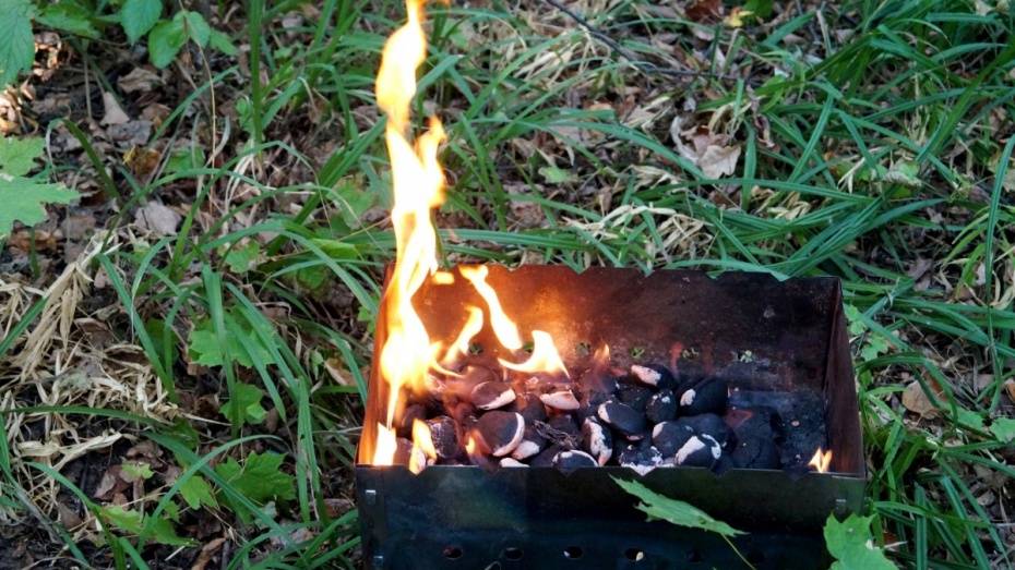 В Ольховатском районе семья развела костер с помощью бензина: ребенок получил ожоги 