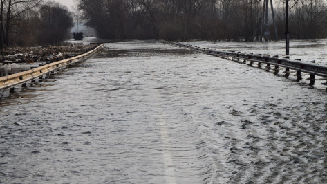 В Воронежской области остаются затопленными 4 низководных моста