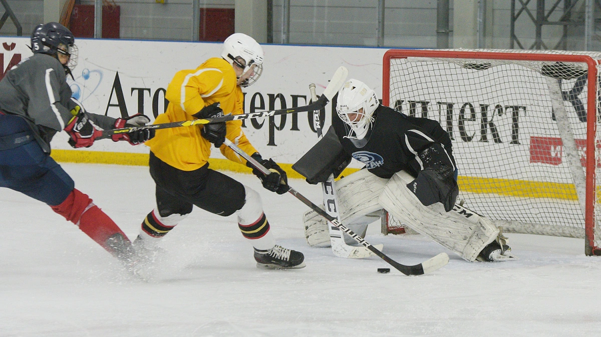 хоккейный клуб протон. ледовый дворец сокол. воронеж протон хоккей. хоккеисты. нмхл протон нововоронеж.