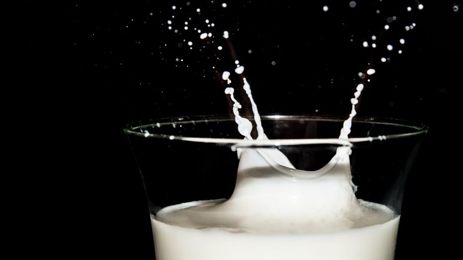 Воронежский Роспотребнадзор за год снял с продажи 6 т некачественных молочных продуктов 