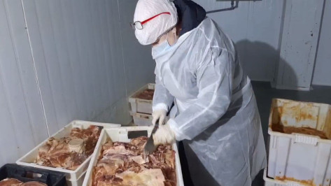 Появилось новое видео из цеха в Воронеже с опасным для жизни мясом для шаурмы