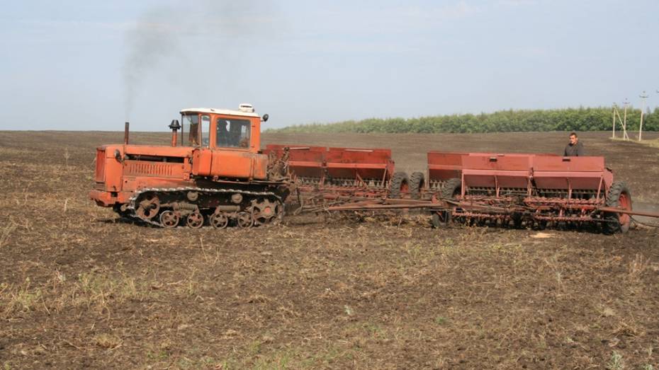 В хозяйствах Калачеевского района начались полевые работы