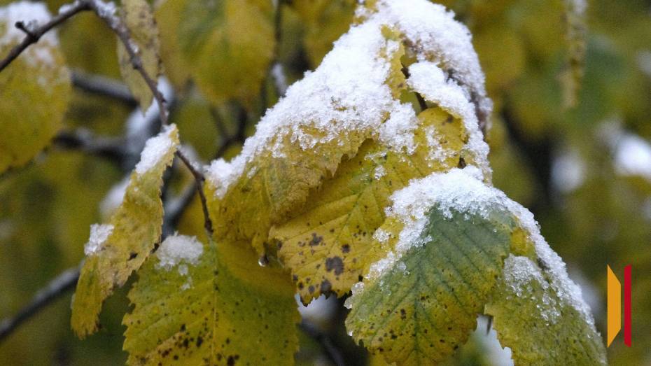 В ближайшие выходные в Воронеже может пойти снег