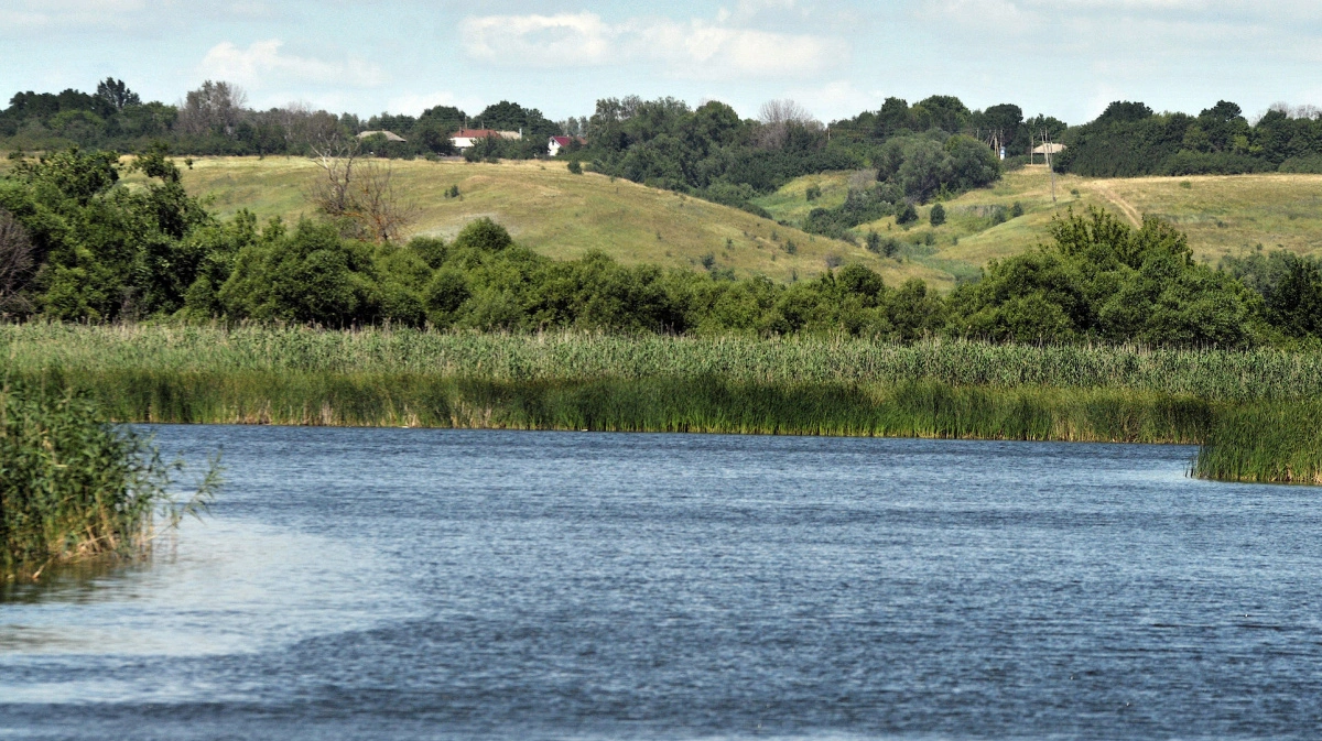 Село Нелжа Рамонского района