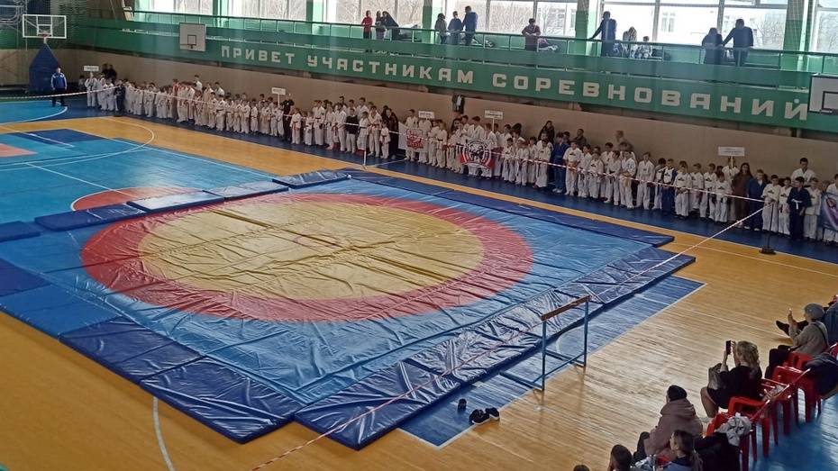 В Россоши проведут областные соревнования по всестилевому карате