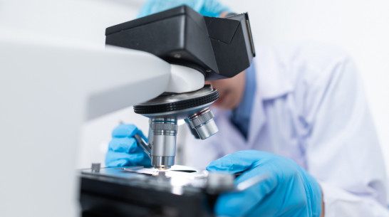 Ученые опубликовали снимки штамма «омикрон»