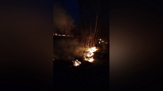 Лесополоса и поле загорелись в Терновском районе Воронежской области вечером 14 апреля