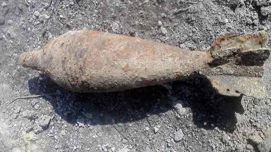 В воронежском парке «Динамо» нашли минометную мину
