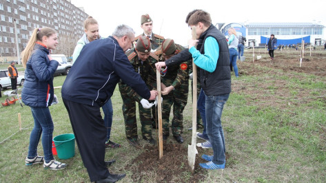 Острогожцы посадили почти 2 тыс саженцев в рамках акции «Лес Победы»