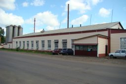 Вопрос о закрытии хлебозавода в райцентре Воронежской области решится 20 октября