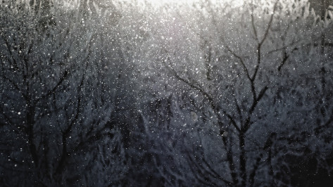 Воронежцев предупредили о сильном мокром снеге и метели