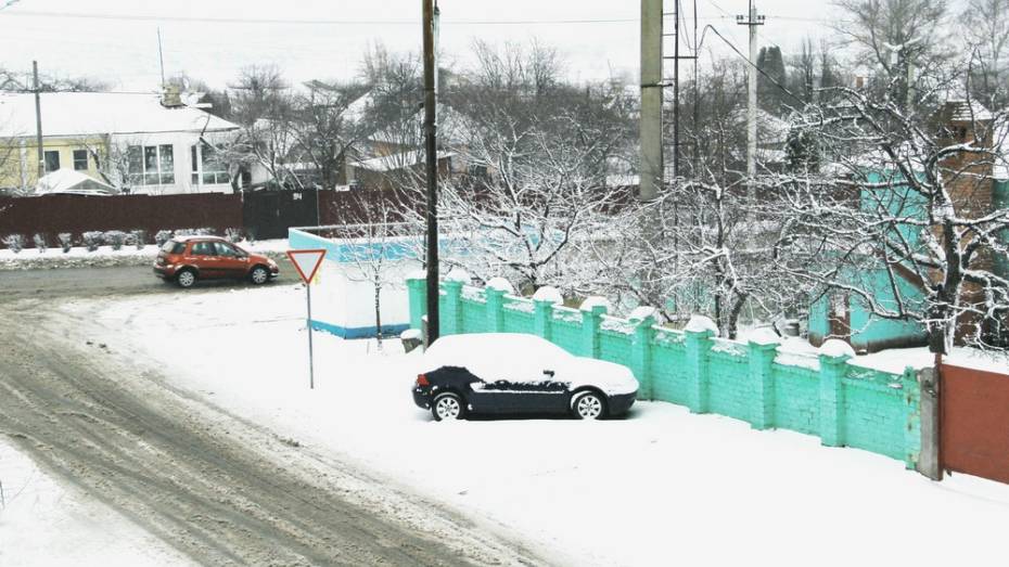 В Семилуках за ночь выпало 7 см снега