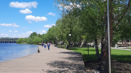 Воронежцев пригласили в парк на праздник «Город здоровья»