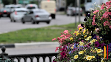 Синоптики рассказали воронежцам, какая погода ждет их на выходных