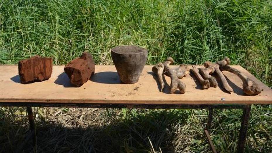 В Поворинском районе раскопали два кургана бронзового века