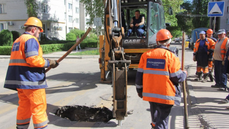 В Воронеже на «зебре» возле школы провалился асфальт 