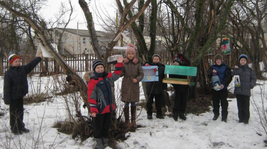 Верхнемамонские школьники изготовили более 700 кормушек  для птиц