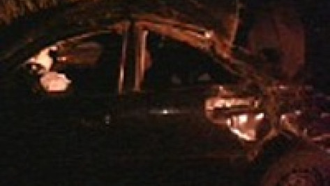 В Воронежской области при опрокидывании Audi пострадали трое мужчин
