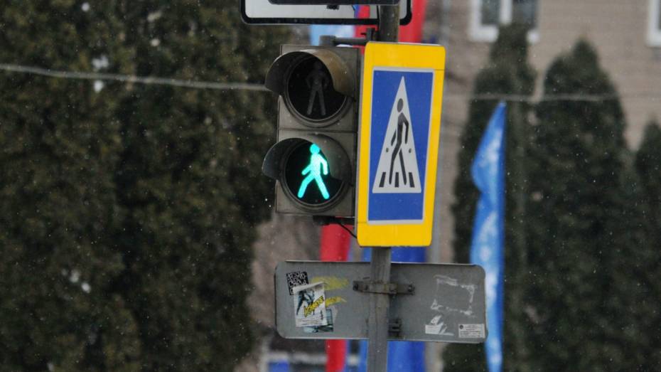 В России увеличили штрафы за непропуск пешеходов