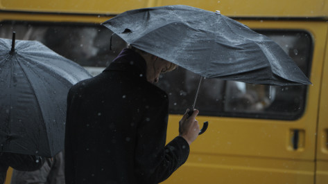 Воронежцев предупредили об опасных дожде и мокром снеге