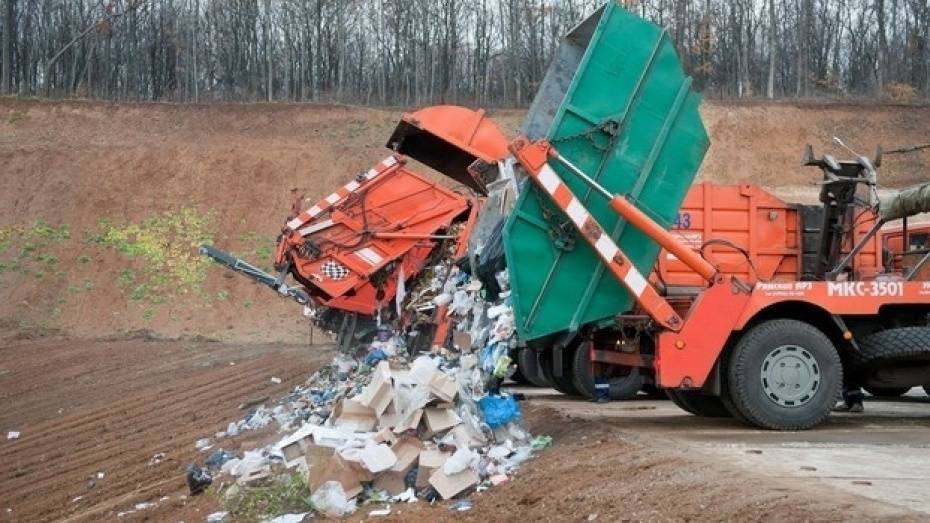 В Воронежской области вновь объявили аукцион на создание мусоросортировочного комплекса