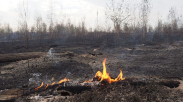 Высокую степень пожарной опасности отметили в 17 районах Воронежской области