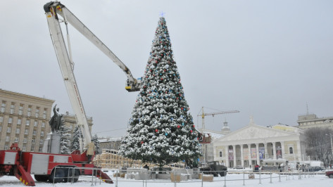 Новогоднюю елку на площади Ленина в Воронеже нарядят к 15 декабря